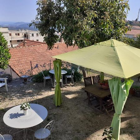 Les Palmiers Bed & Breakfast Grasse Exterior foto