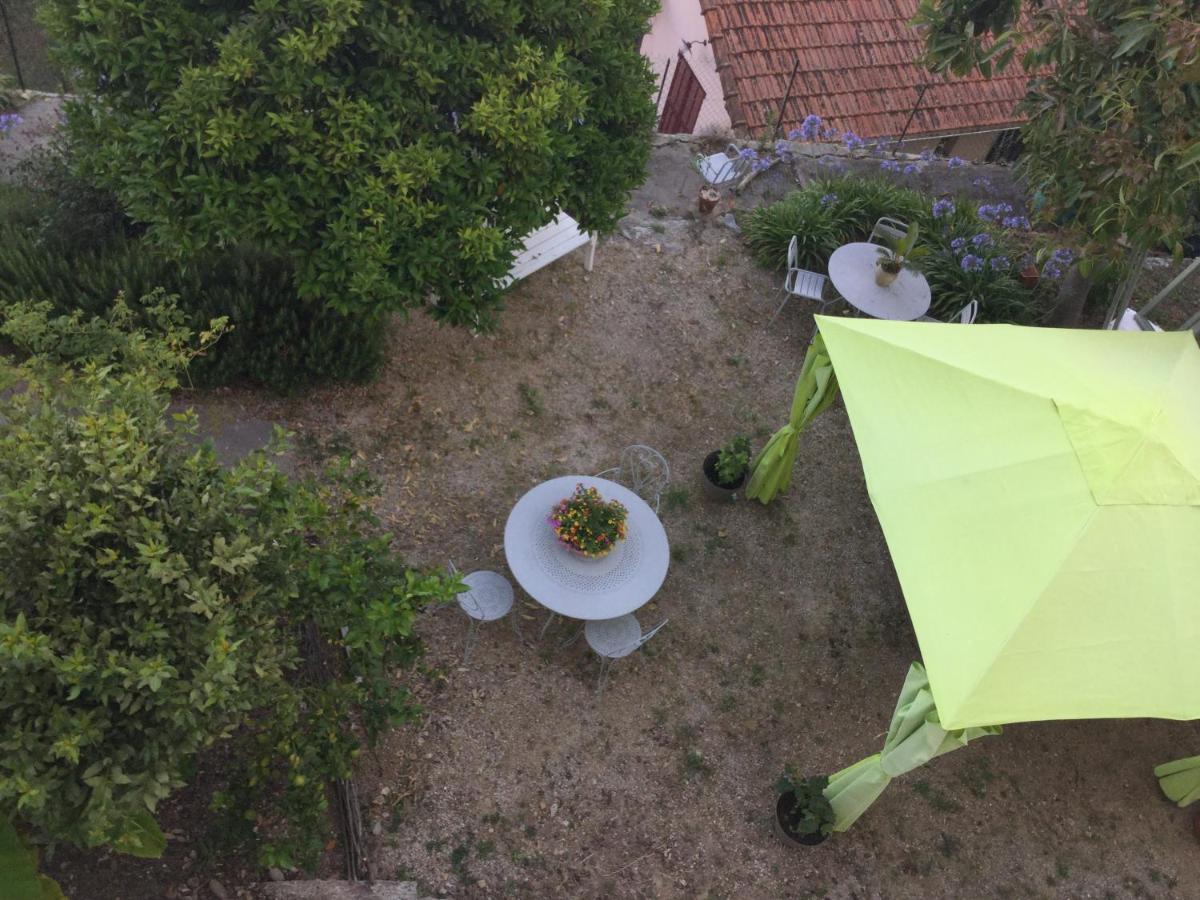 Les Palmiers Bed & Breakfast Grasse Exterior foto