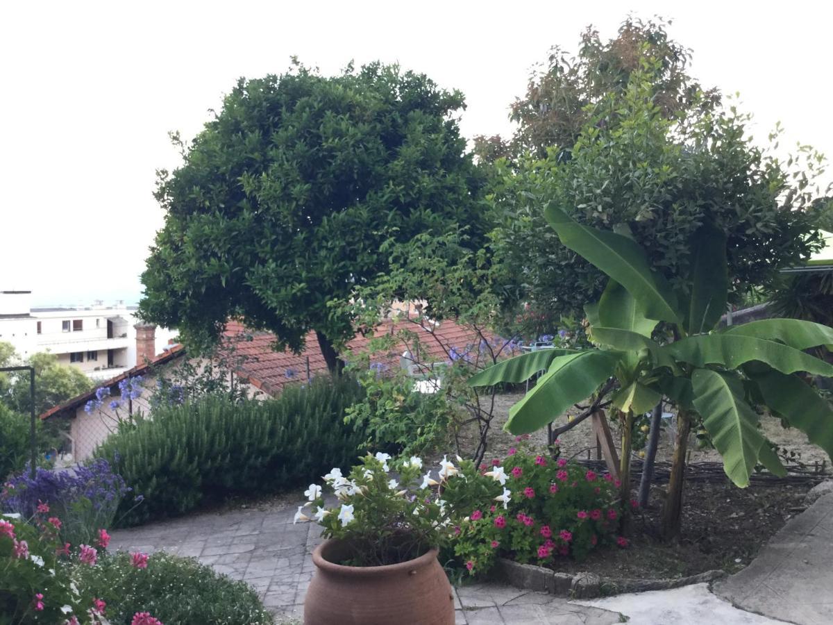 Les Palmiers Bed & Breakfast Grasse Exterior foto