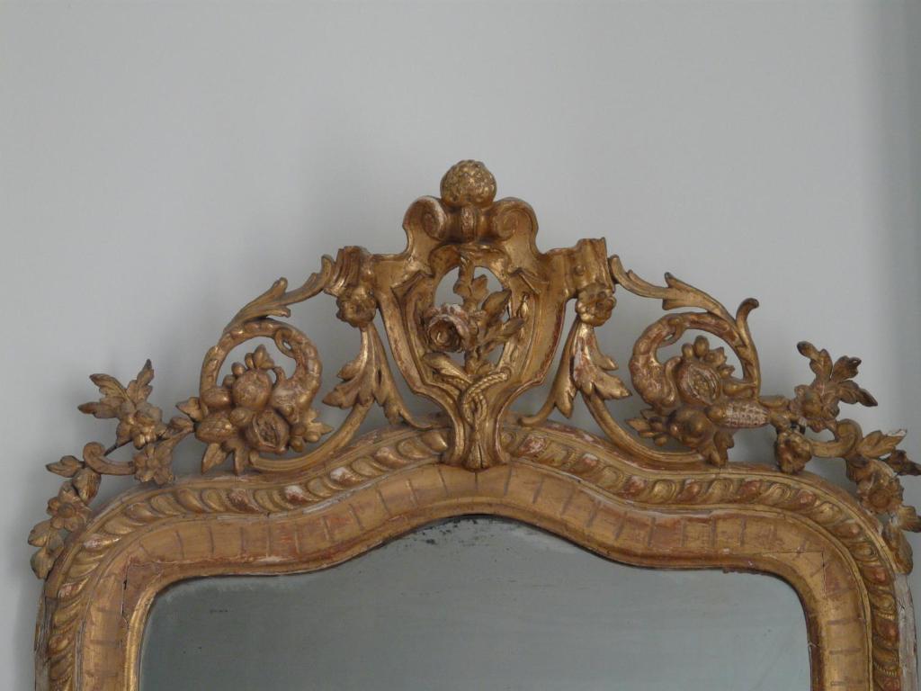 Les Palmiers Bed & Breakfast Grasse Cameră foto